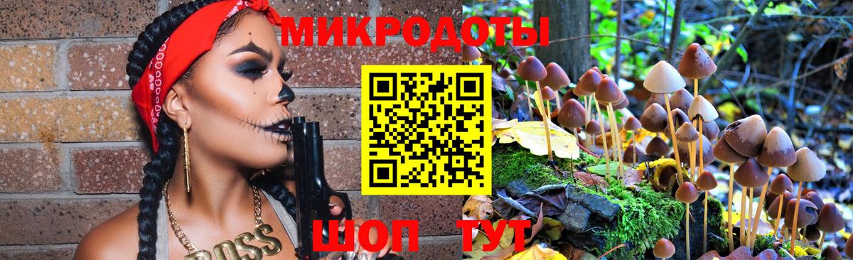 Галлюциногенные грибы Psilocybe  Вход с VPN  Галлюциногенные грибы Psilocybe  Ревда 
