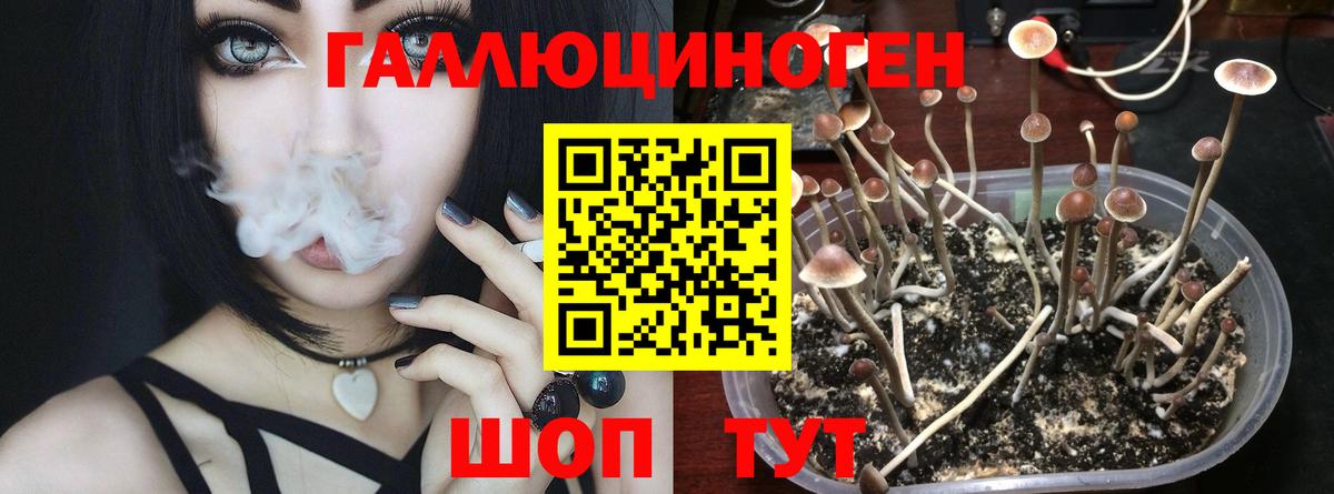 Псилоцибиновые грибы мицелий Ревда